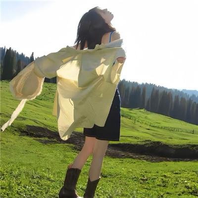 花豹王国海报